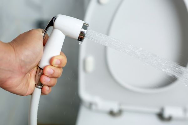 Cost of Bidet Installation in Cartersville