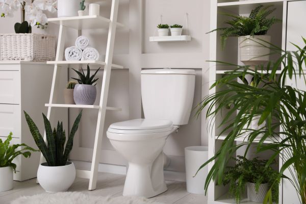 Cost of Toilet Repair in Cartersville