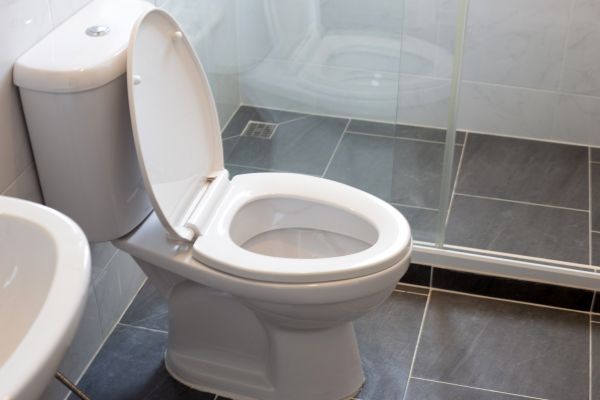 Cost of Toilet Replacement in Cartersville
