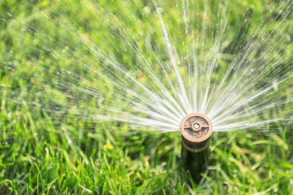 Cost of Spigot Installation in Cartersville