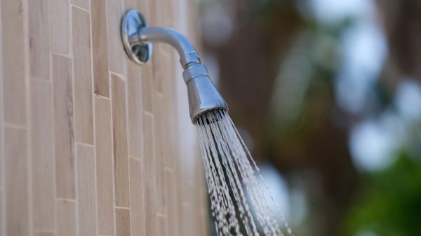 Cost of Showerhead Repair in Cartersville