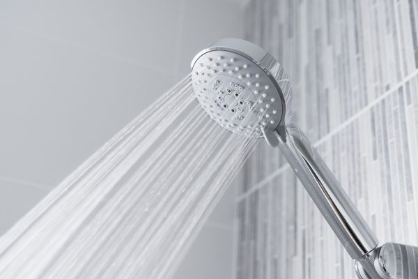 Cost of Showerhead Replacement in Cartersville