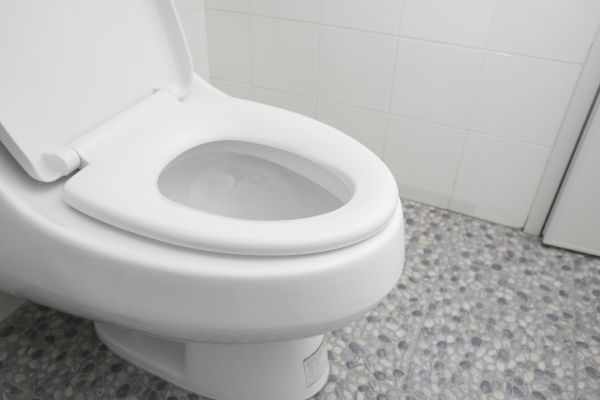 Cost of New Toilet Installation in Cartersville