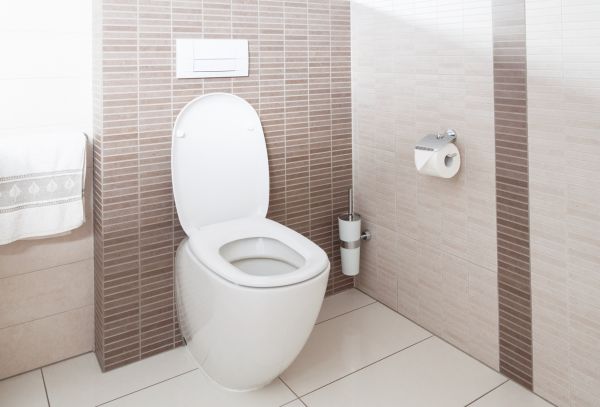 Cost of Toilet Plumbing Installation in Cartersville